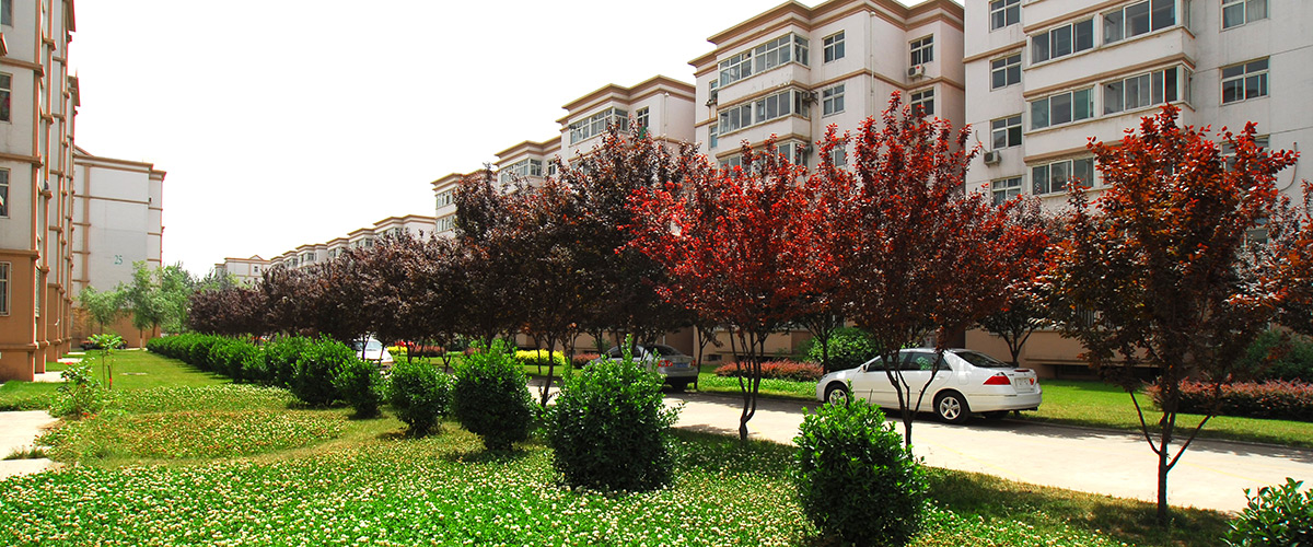 河北mg冰球突破房地产开发集团有限公司