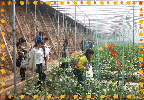 mg����ͻ�ơ������׸���ժ��ʵ